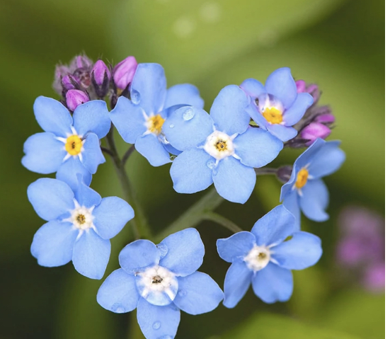 Somatic Yoga with shaking and comforting